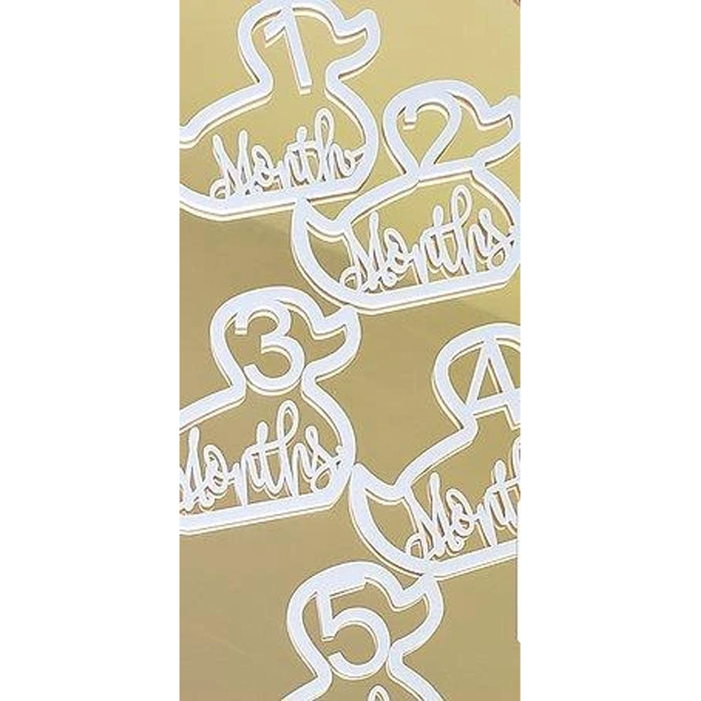 BABY MILESTONE CARDS