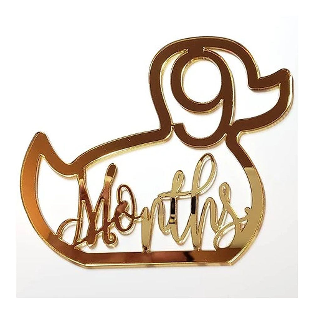BABY MILESTONE CARDS