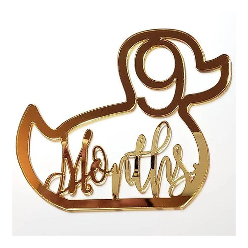 BABY MILESTONE CARDS