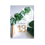MONSTERA TABLE NUMBER SET